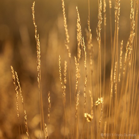 Belle Île, Bretagne